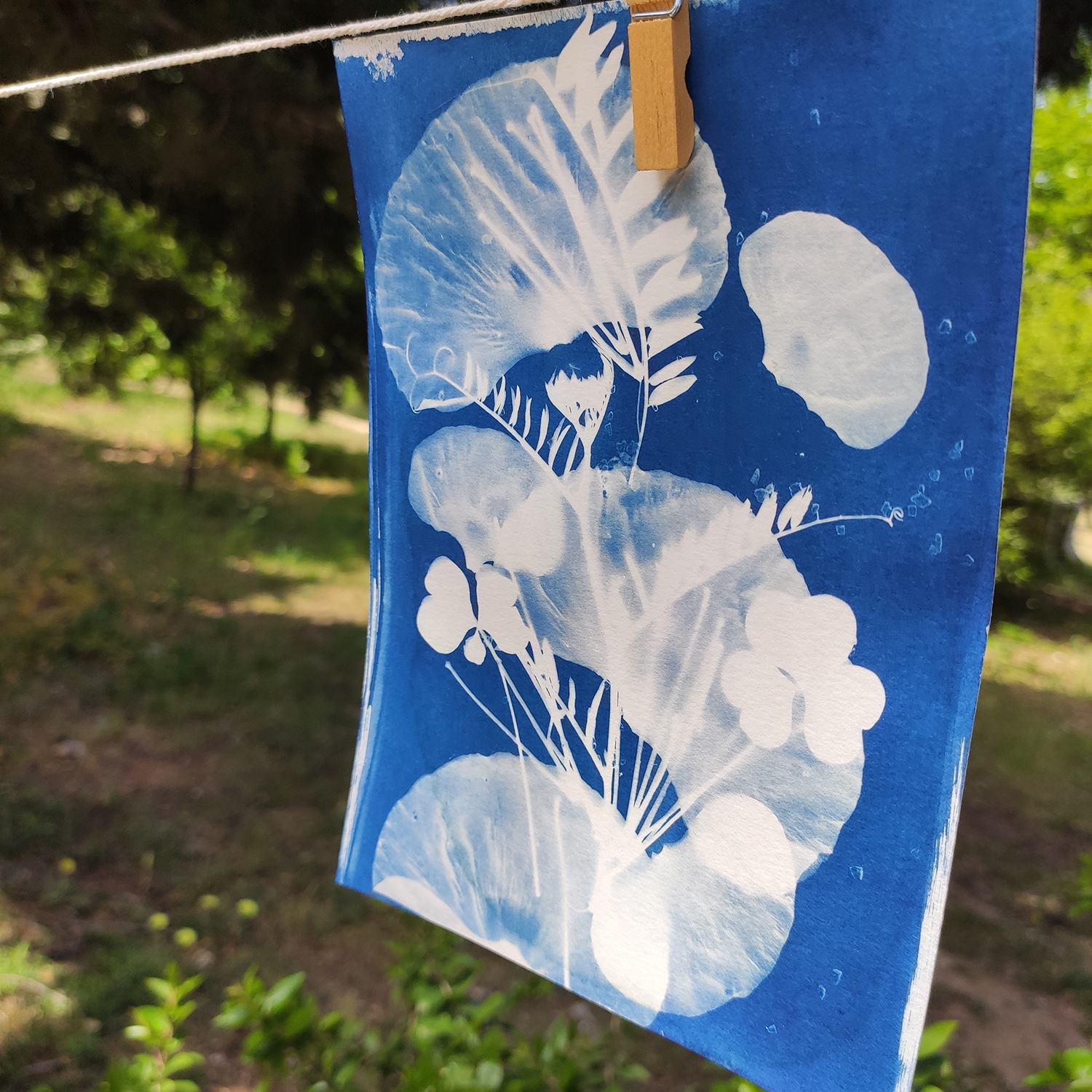 Taller de cianotípia