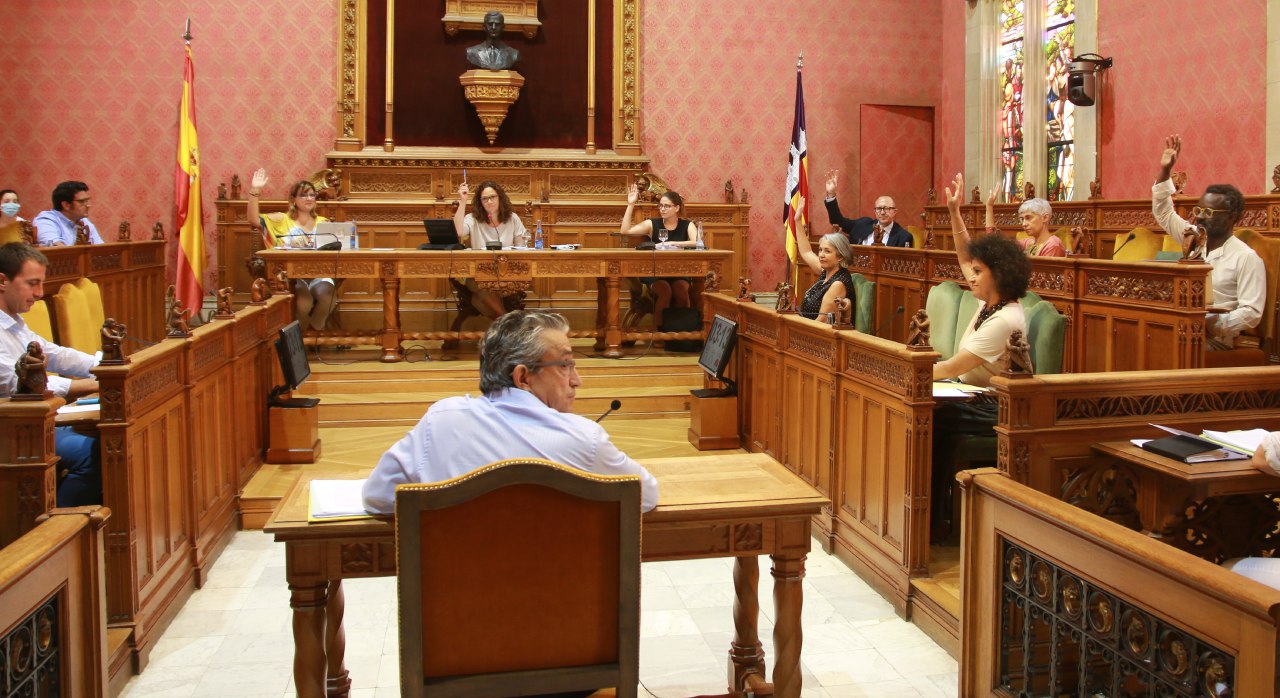 Momento de la aprobación del PIAT en el Ple del Consell.