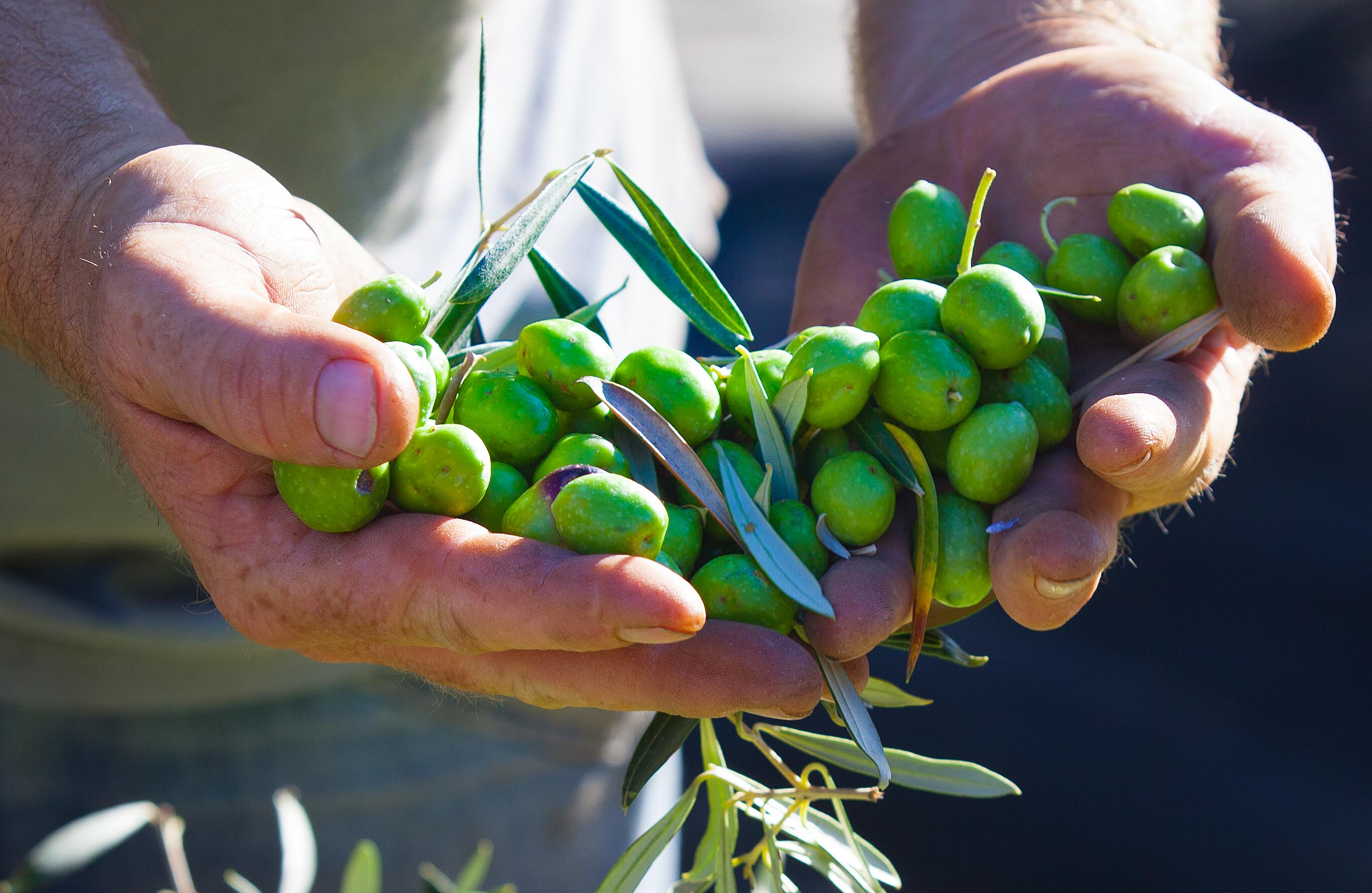 Olives.