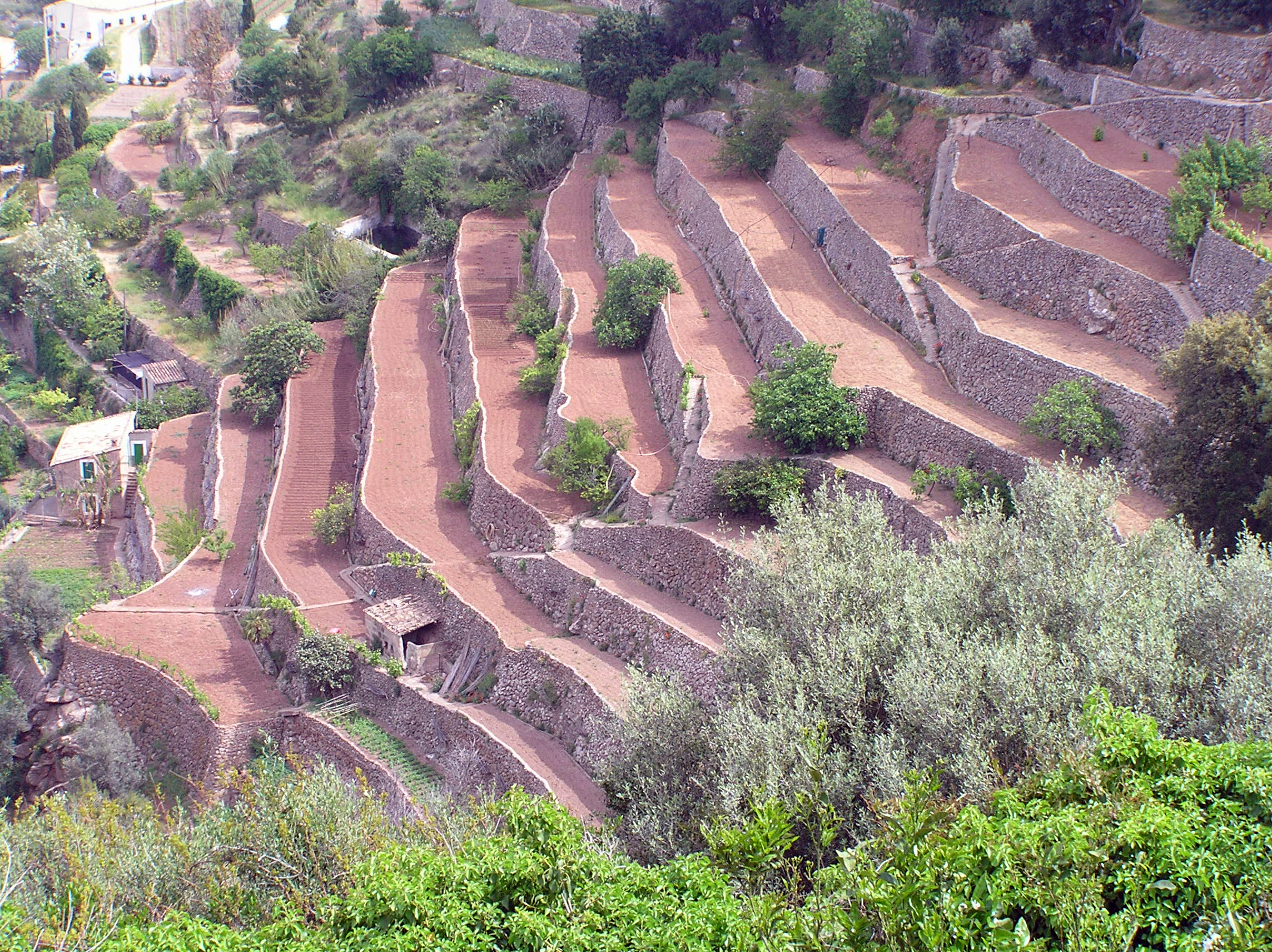 Marjades de la serra de Tramuntana a Banyalbufar.