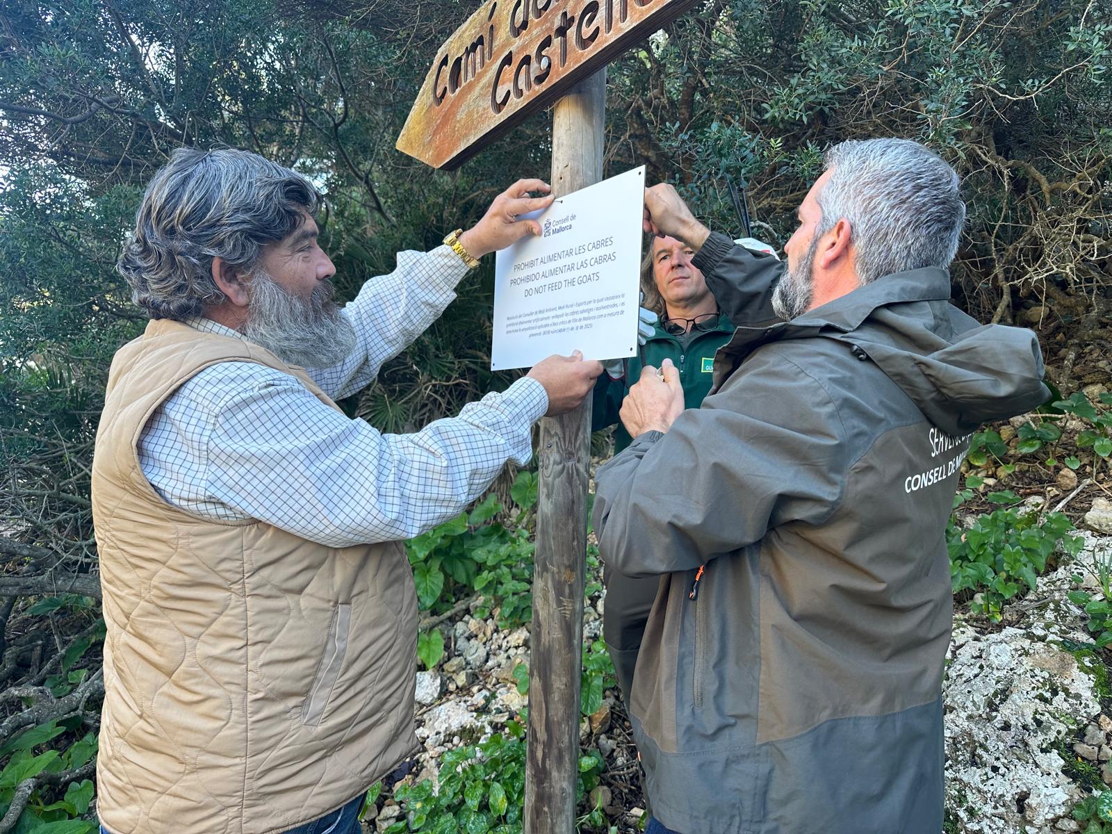 El Departament de Medi Ambient, Medi Rural i Esports col·loca cartells de la prohibició d'alimentar les cabres salvatges.