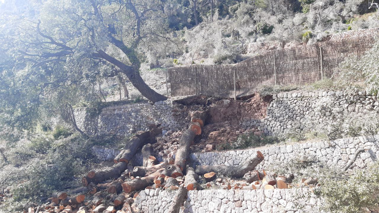 Efectes de la tempesta Juliette