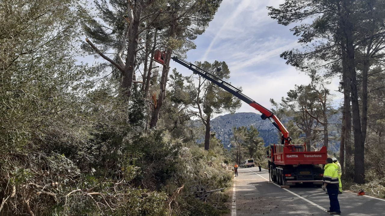 Efectes de la tempesta Juliette