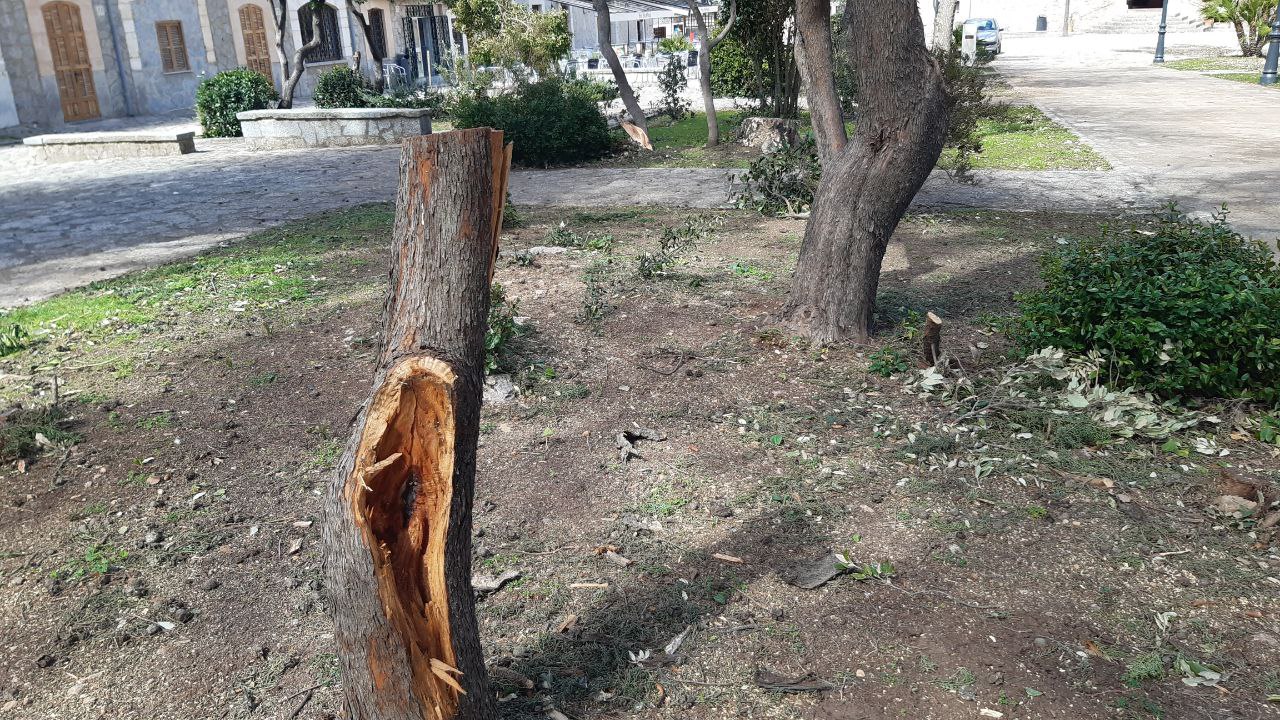 Efectes de la tempesta Juliette