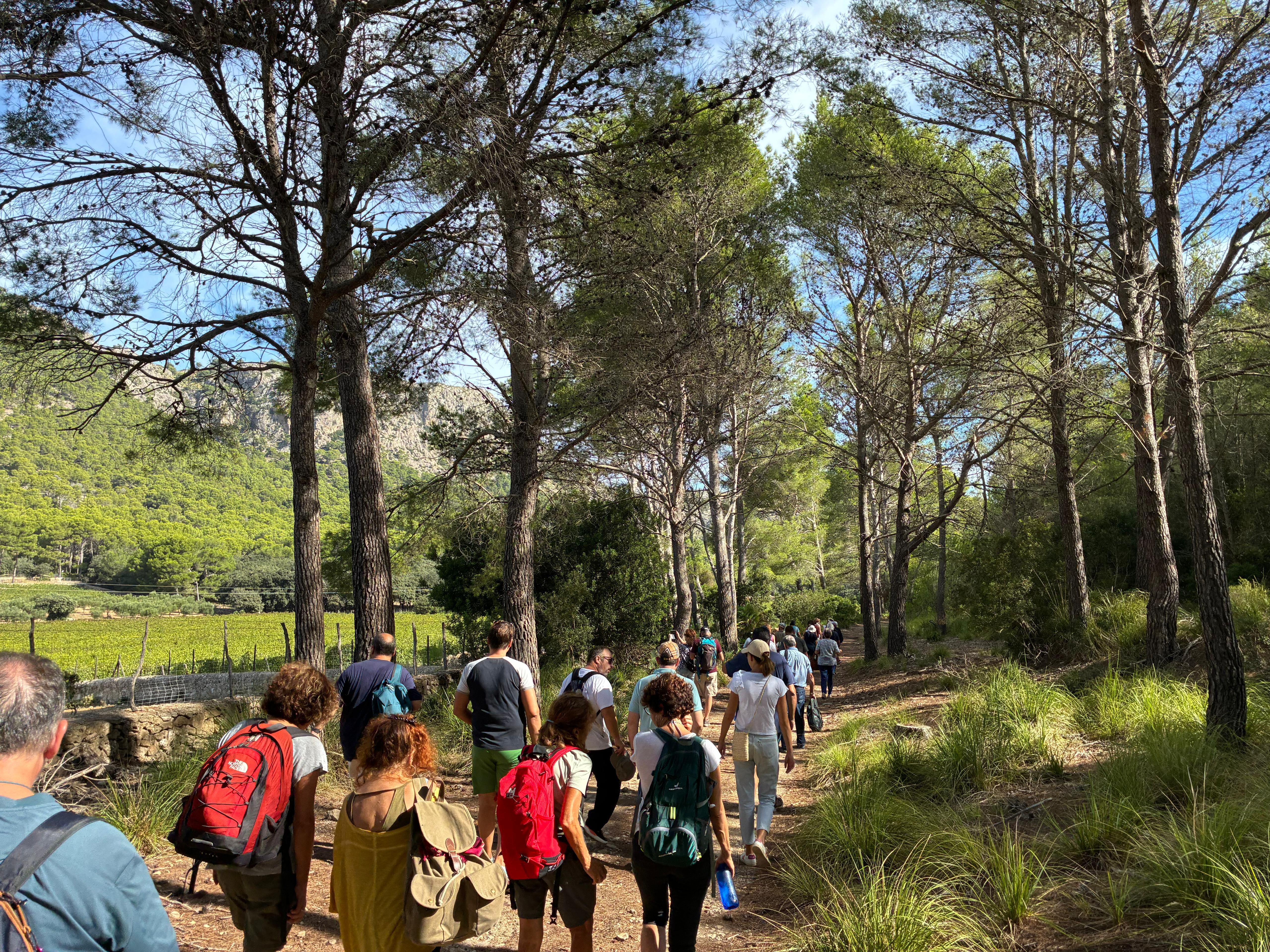 Grup de participants a la ruta poètica de la Diada de Mallorca dedicada a Miquel Costa i Llobera