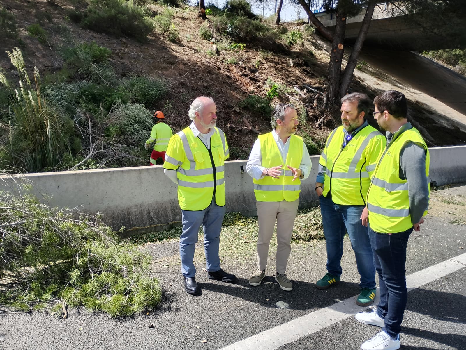 Les feines començaren per gener i s'espera que finalitzin durant el mes de juny.