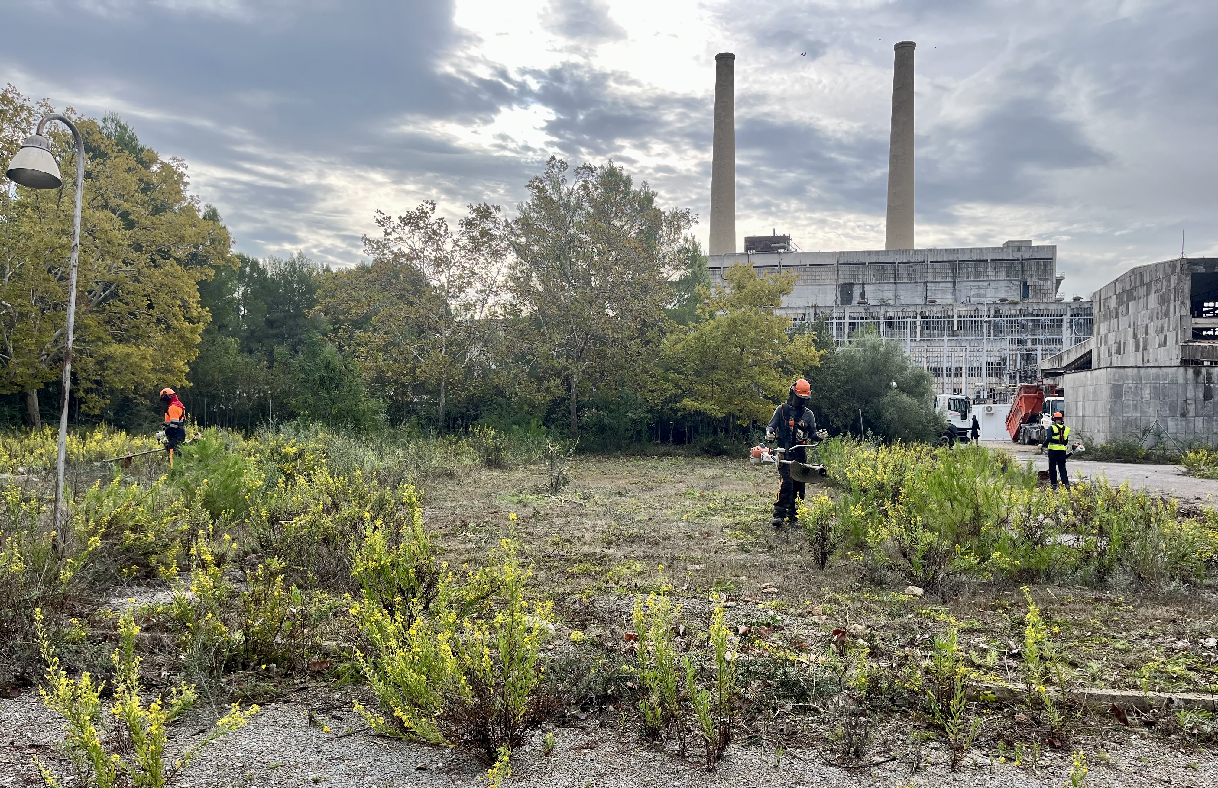 Se han iniciado los trabajos de desbroce y limpieza en la central térmica de Alcanada