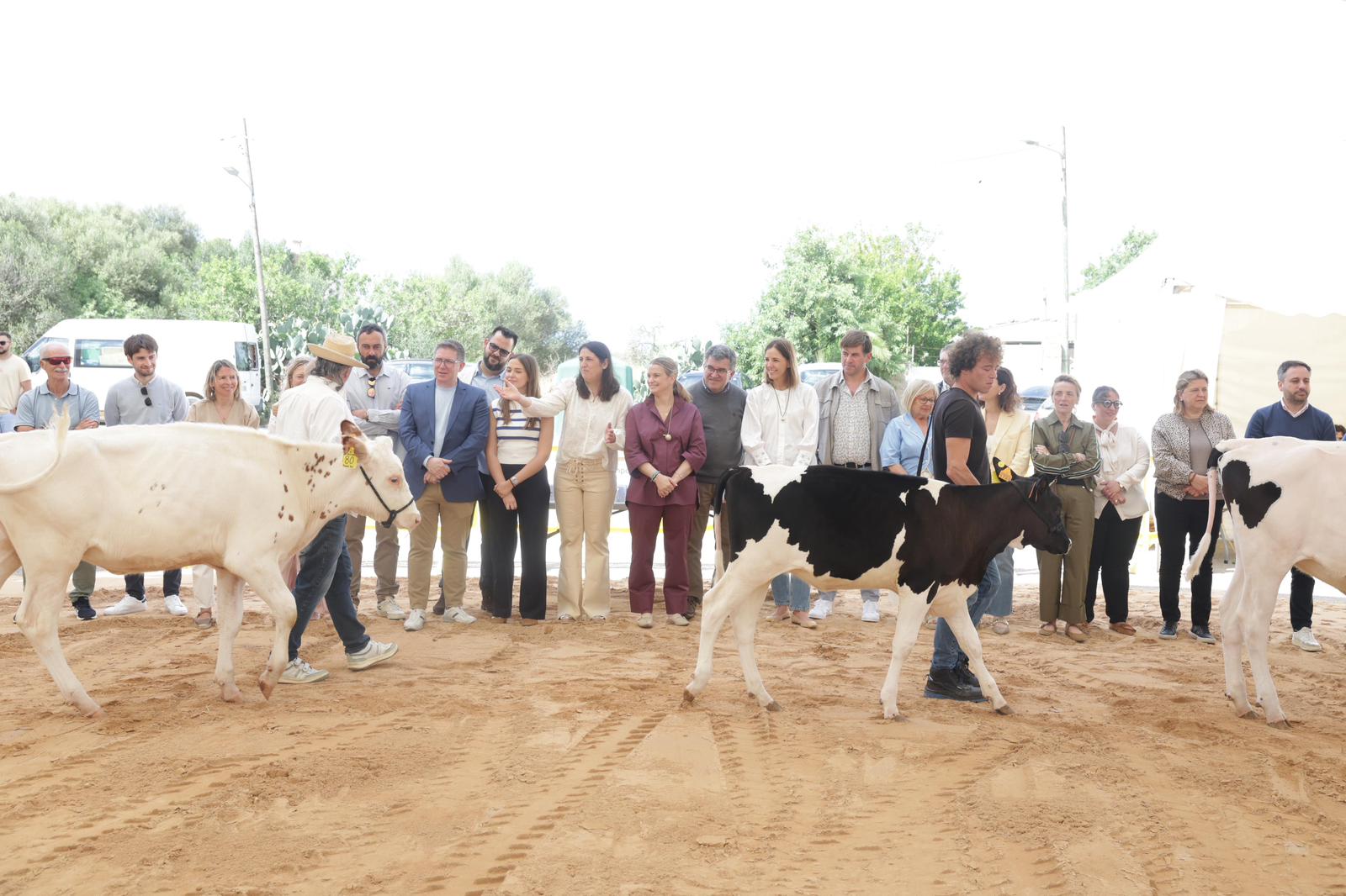 Mostra ramadera fira de Campos.