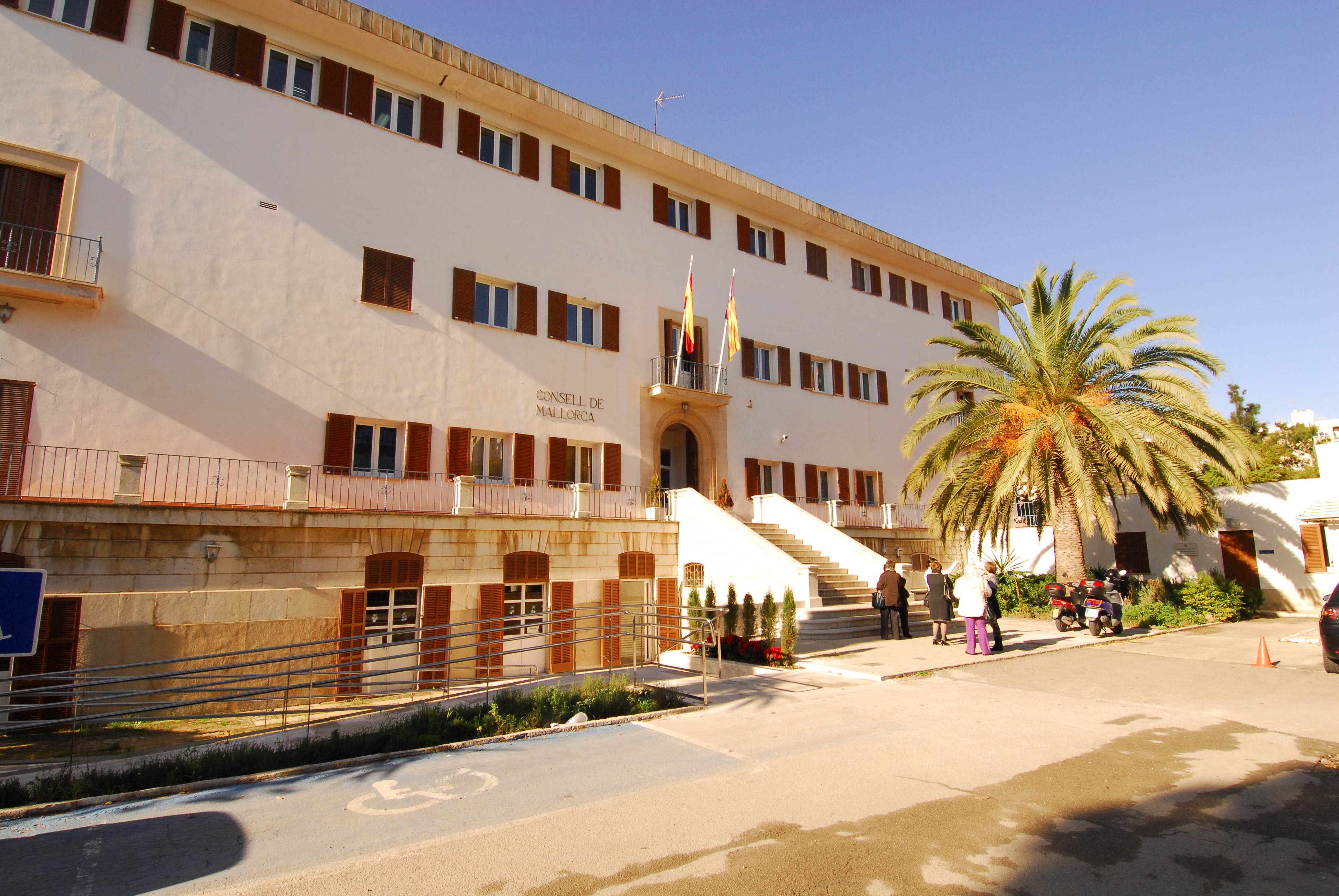 PALMA-2.JPG