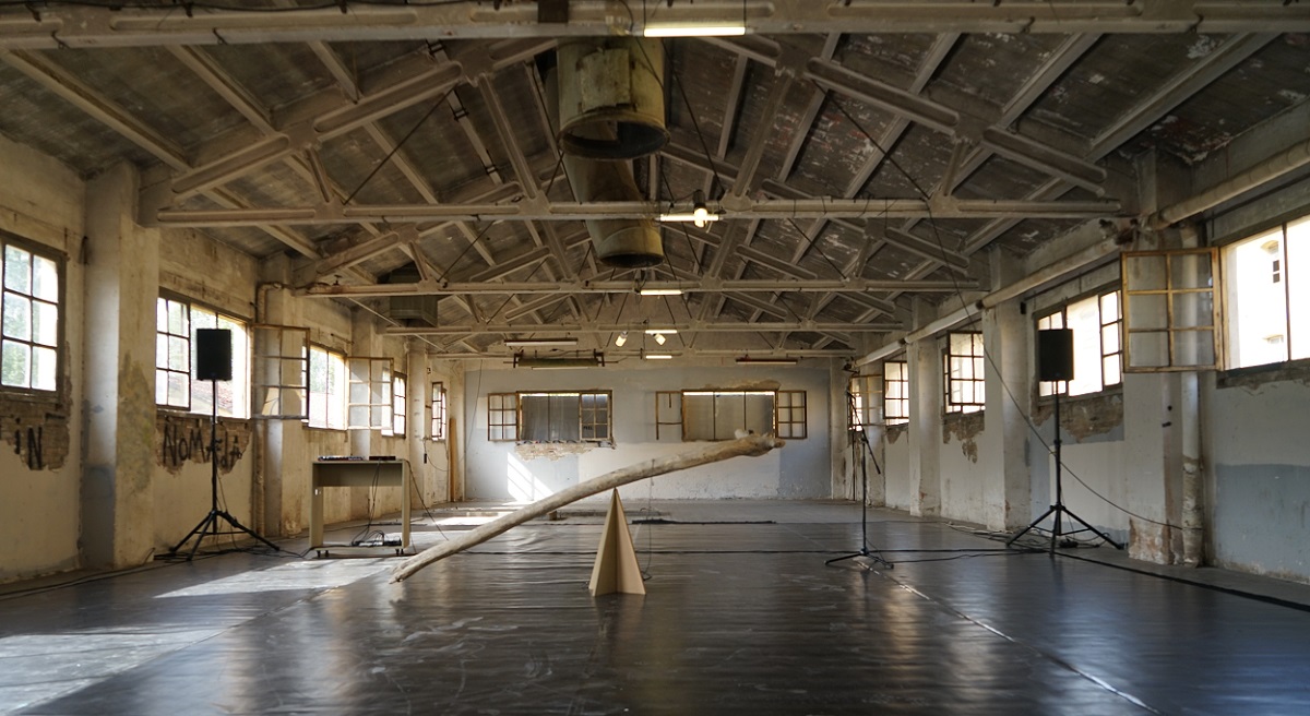 El plural d’arbre és nosaltres