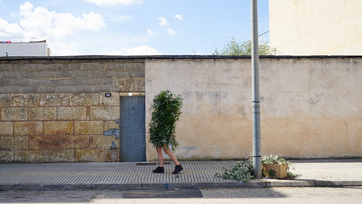 El plural d’arbre és nosaltres